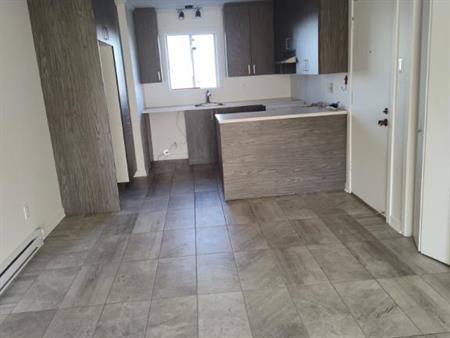 Grand 4 1/2 rénové avec aire ouverte à Ste-Julie