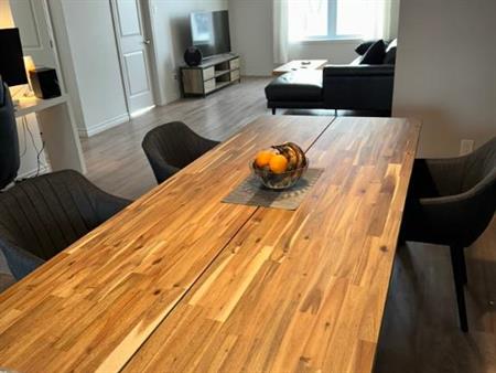 Grand 4 ½ moderne style condo avec terrasse immense à Waterville