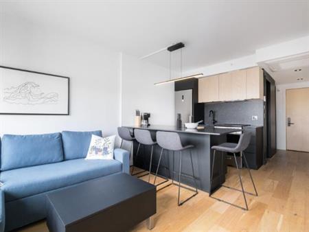 3 ½ entièrement meublé à louer Saint-Jean-Baptiste juillet 2026