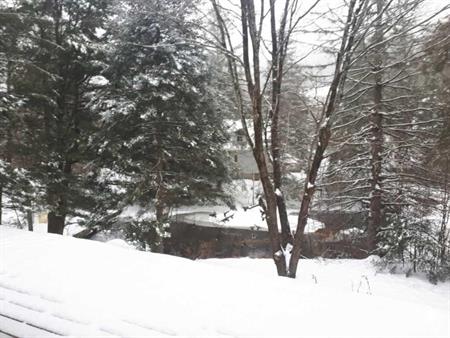 5 1/2 avec foyer (wifi inclus) terrain bordé d'un étang