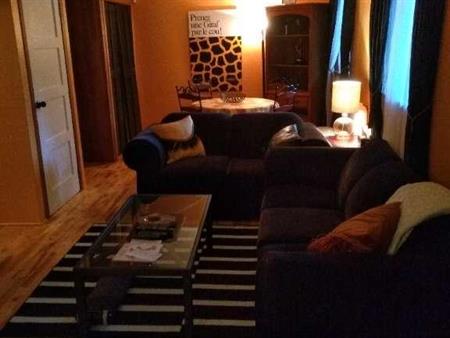 Apt 3 1/2 ,meubler,tout comprit,chien accepter