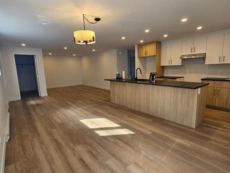 4 1/2 avec GARAGE et stationnement inclus - Saint-Ambroise-de-Kildare