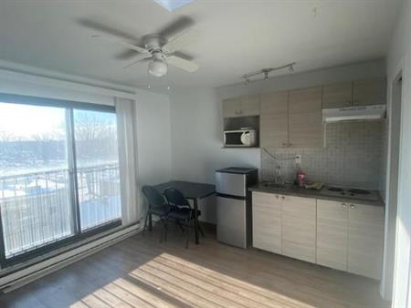 1 1/2 - Montréal (La Petite-Patrie) - 950 $/mois