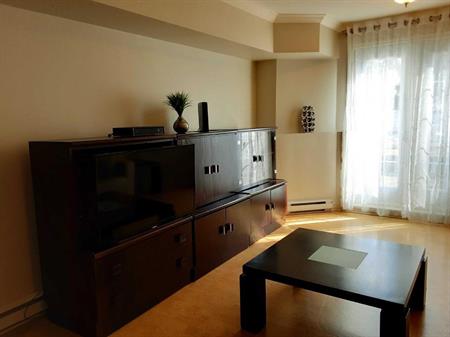 CONDO 4 1/2 MEUBLE, MONT-TREMBLANT A LOUER