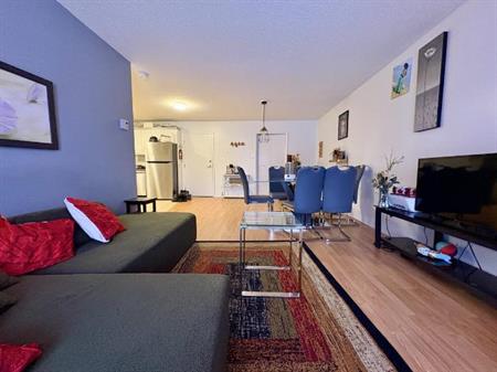 Appartement 3 ½ à louer Sainte-Foy / Sillery juin 2026