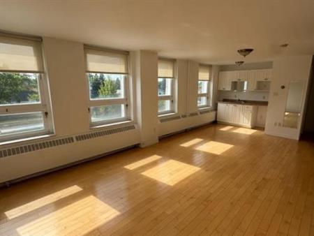 Logement 3 ½ tout inclus à louer – Black Lake (Thetford Mines)