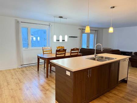 5 1/2 MEUBLÉ Air climatisé, Lave-vaisselle, micro-onde, aspirateur, stationnements déneigés NON-FUMEUR