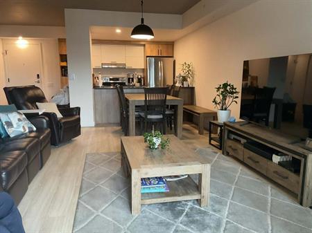 3 mois gratuit . 4 1/2 +