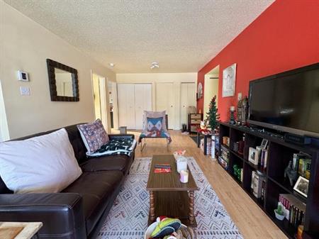 Appartement 4 ½ à louer Sainte-Foy / Sillery juillet 2026