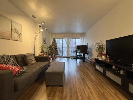 Appartement 4 ½ à louer Sainte-Foy / Sillery juillet 2026