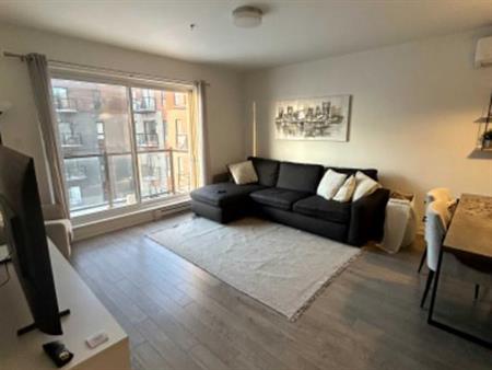 Appartement 3 1/2 à louer, Beloeil