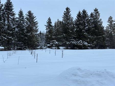 Grand terrain plat, Pont Rouge, Porneuf, Québec, Fermette
