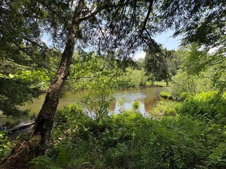 Terrain Estrie 7 acres en bordure de rivière - 1h de Montréal