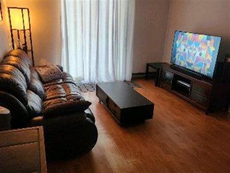 logement à louer 3 1/2