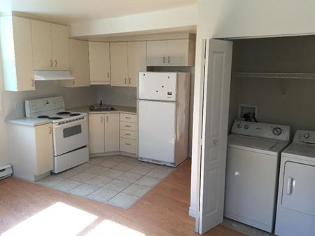 4 1/2 | occupation 1er juillet | Quartier Saint-Sauveur