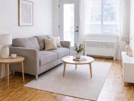 4.5 Renové sur le Plateau / Renovated 4.5 on the Plateau