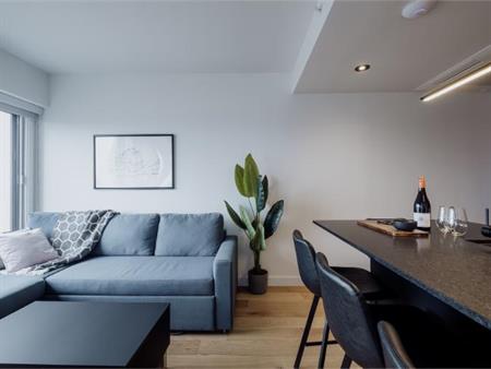 Loft entièrement meublé à louer Saint-Jean-Baptiste juillet 2026