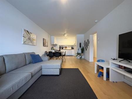 Appartement 4 ½ à louer Sainte-Foy / Sillery juillet 2026