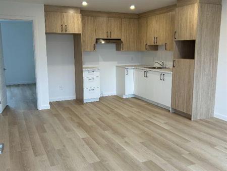 Logement 3½ à Sainte-Marie