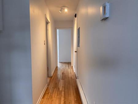 3 1/2 - Montréal - 950 $/mois