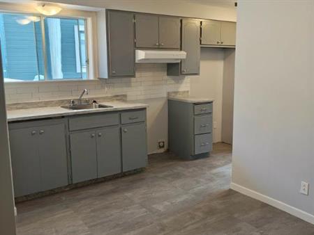 5 1/2 internet inclus - centre ville de Plessisville