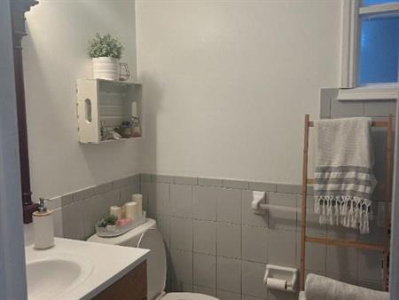 Charmant 3 ½ au coeur de Parc-Extension/Villeray