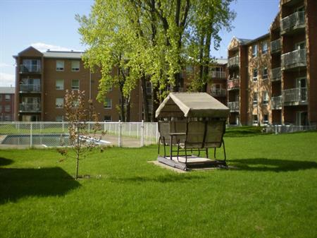 3 1/2 à partir du 1er mars, 3e étage, ascenseur, piscine quiétude, vue piscine