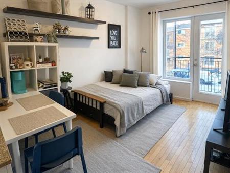 Magnifique Studio sur le Plateau