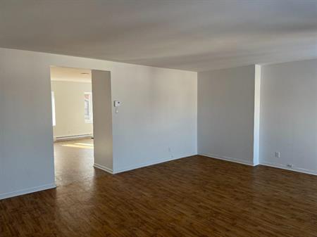 Grand 4 1/2 lumineux