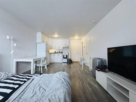 Loft entièrement meublé à louer Sainte-Foy / Sillery août 2026