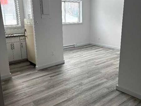 Laval , 3 1/2 , Laval des rapides métro Concorde