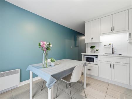 Rosemont Petite-Patrie, joli 3 1/2 à louer, rénové, près du Parc Maisonneuve, électroménagers, wifi et câble télé