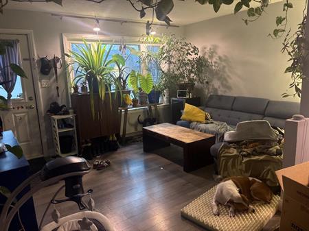 GRAND 5 ½ À LOUER – FLEURIMONT – DISPONIBLE MAINTENANT