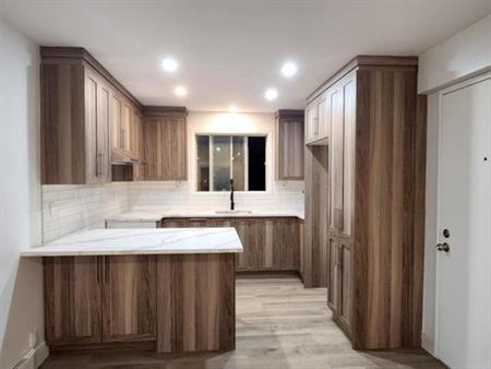 Logement 4 1/2 rénové à louer à St-Rémi