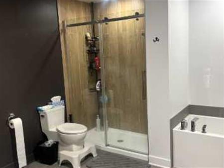 GRAND 4 1/2 A LOUER TERREBONNE