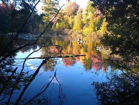 chalet Estrie lac, DEAL urgent mars Magog