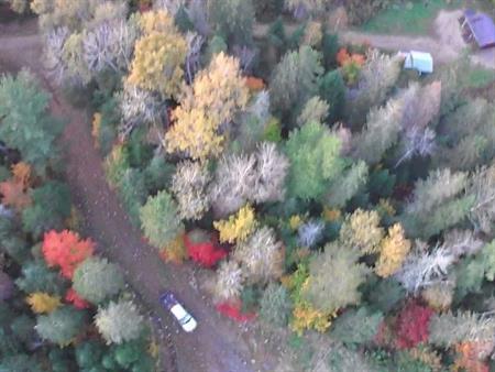Terrain boisé sans voisins Saint-Alexis-des-Monts