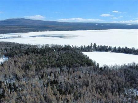 Weedon (Estrie) : Terrain boisé de 7,51 acres, droit de construction résidentiel, accès au lac Louise, chemin privé