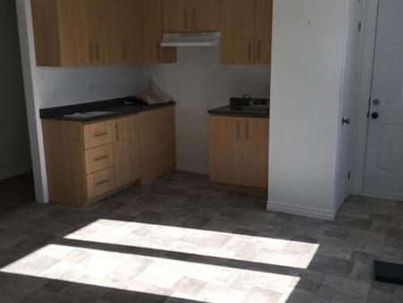 Logement 4 1/2 a louer a Grande riviere