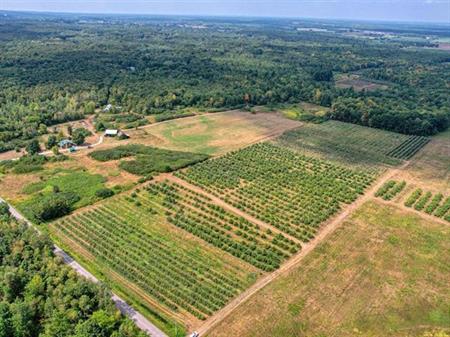 Montérégie: petit verger en production sur 6,24 ha - 5380 pommiers - Sol idéal pour verger - Une opportunité à saisir!