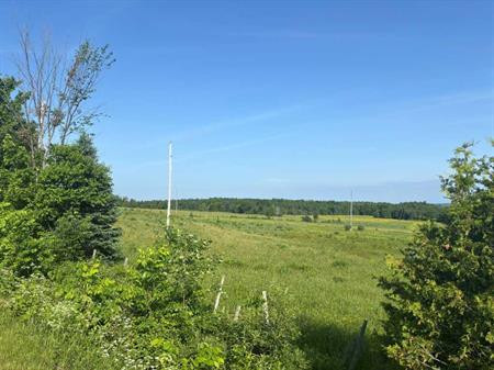 Estrie (Lingwick): terre nue sans bâtiment - route 108, 125,3 acres ou 50,74 hectares, 85 % de terre cultivable | Un investis