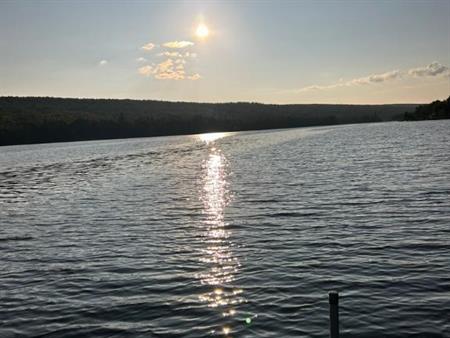Terrain bord de l'eau