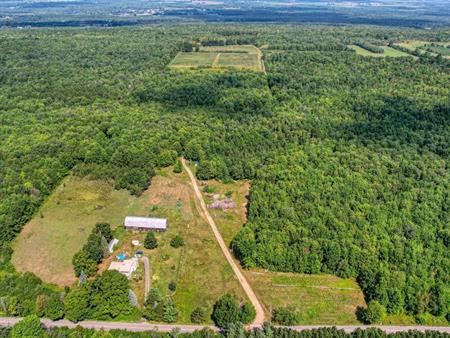 Montérégie: bleuetière + érablière, 44,03 ha avec grange et petit chalet de chasse | Une propriété pittoresque à découvrir!