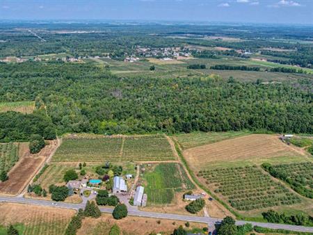 Montérégie: érablière + verger sur 35,20 ha avec bâtiments agricoles fonctionnels | Une opportunité en or pour lancer ou éten