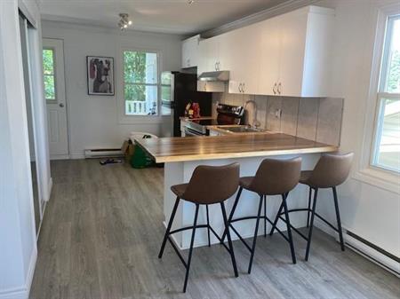 2 1/2 LOFT COMPLÈTEMENT RÉNOVÉ (HYDRO INCLUS)
