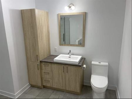 4 1/2 À LOUER-SAINT-CHARLES-BORROMÉE-APPARTEMENT À LOUER