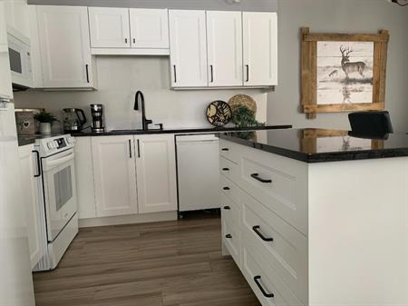 4 1/2 condo meublé Laurentides, disponible Mai-Nov 2026