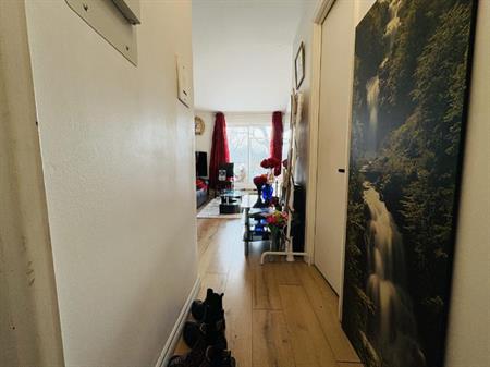 Loft à louer Limoilou juillet 2026