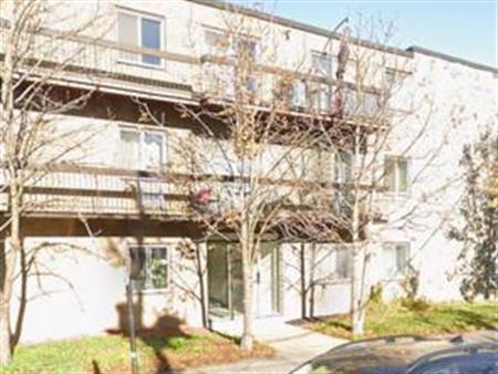 Beau 3 1/2 à louer dans Rosemont/La Petite Patrie.