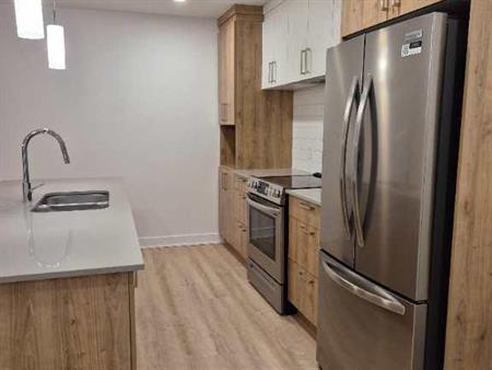 4 1/2 LIBRE IMMÉDIATEMENT / ANIMAUX ACCEPTÉS